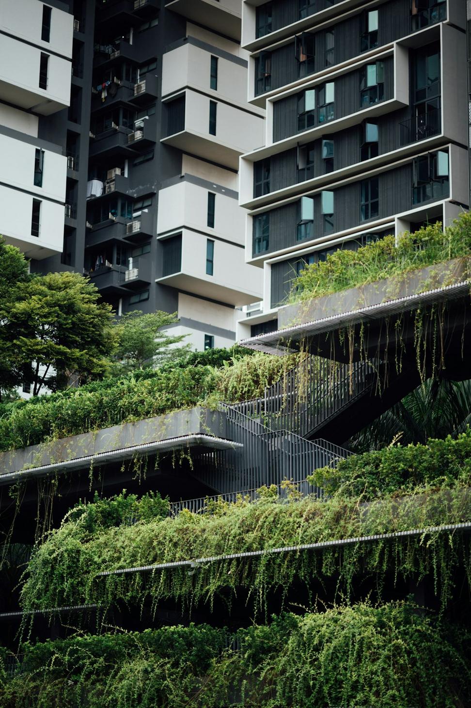 Rooftop garden